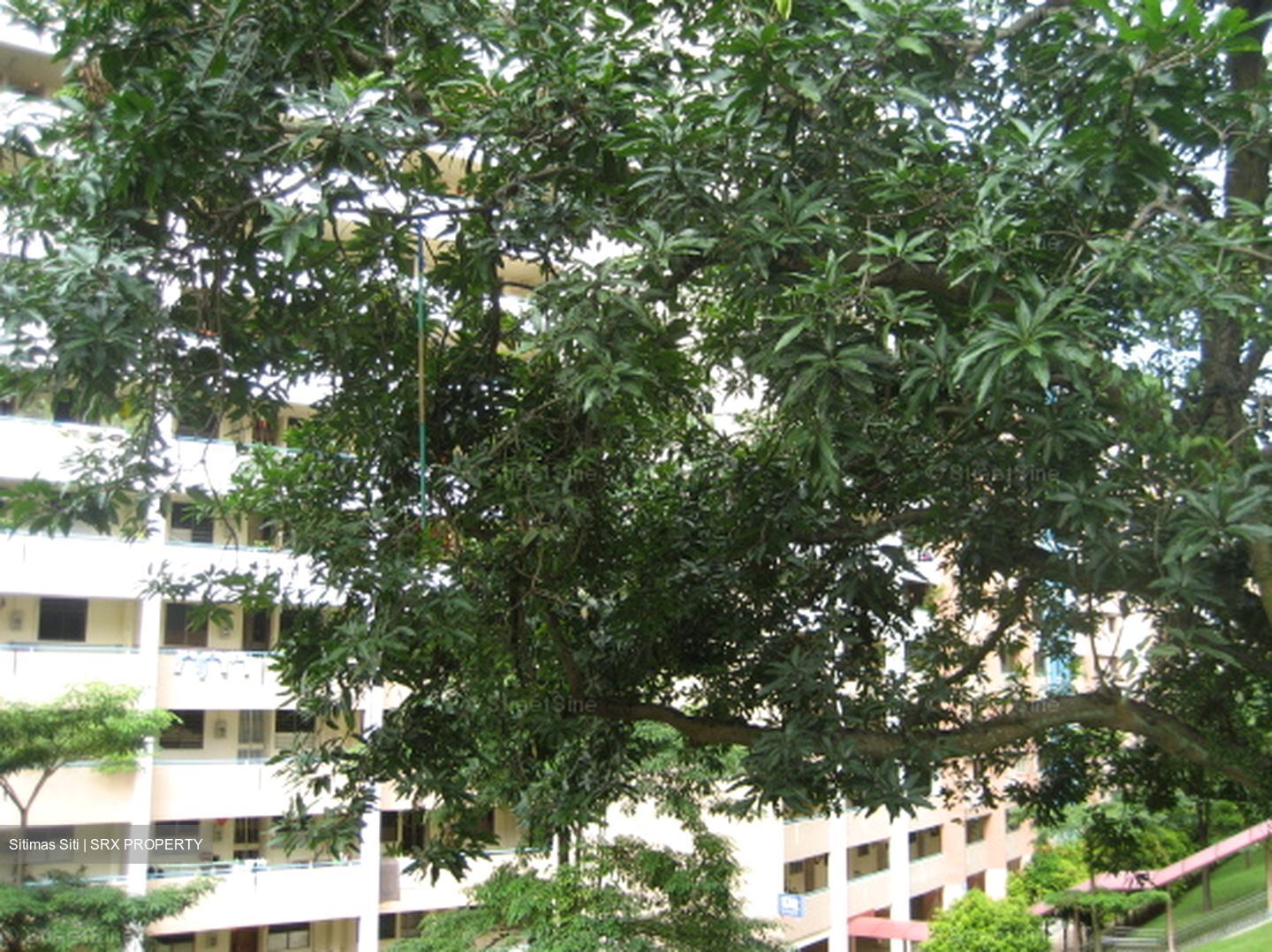 Blk 178 KEBUN BARU LINK 2 (Ang Mo Kio), HDB 3 Rooms #635894131
